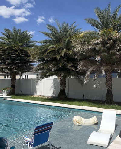 Tree Care Tips for May In Central Florida