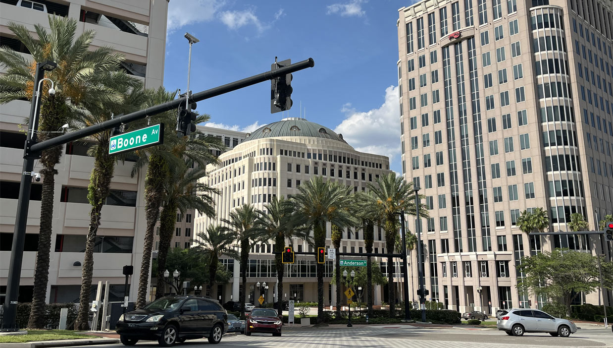 Greater Orlando Arborist Services for City & Municipal Areas from Urban Tree Doctor