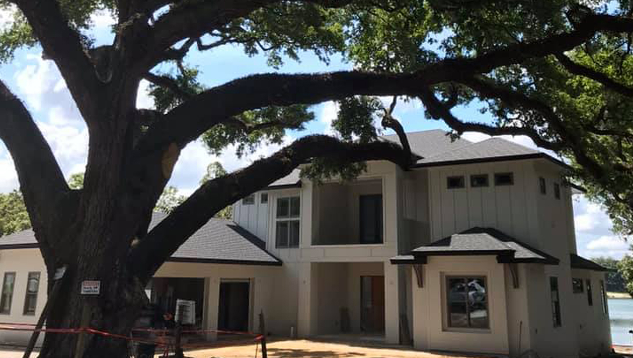 Greater Orlando Arborist Services for Developers and Builders from Urban Tree Doctor